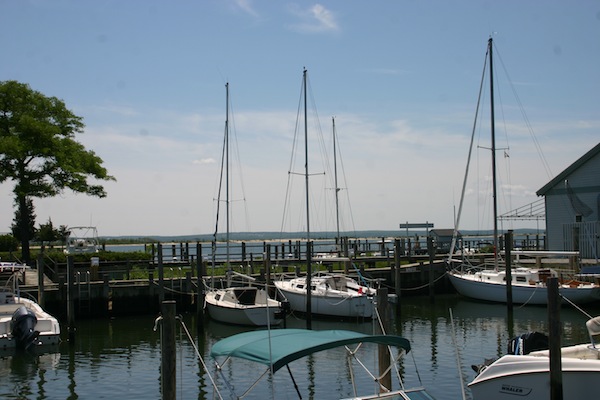 The view from SALT on Shelter Island.