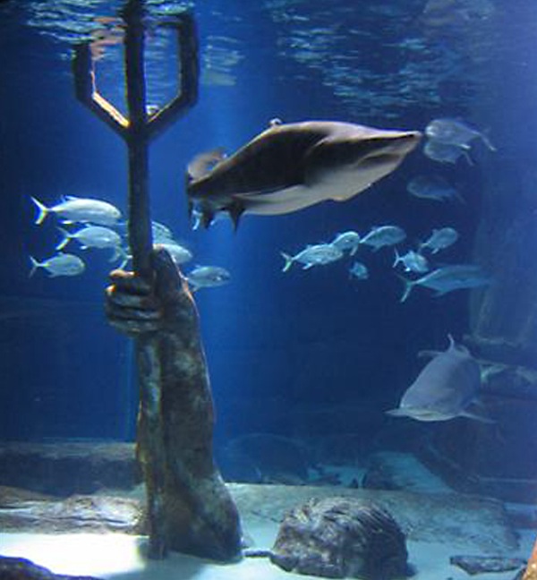 Photo courtesy of the Long Island Aquarium & Exhibition Center | The shark tank at the Long Island Aquarium.