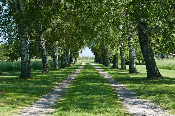 North Fork Dream Home: Orient Photo courtesy of Daniel Gale Sotheby's International Realty