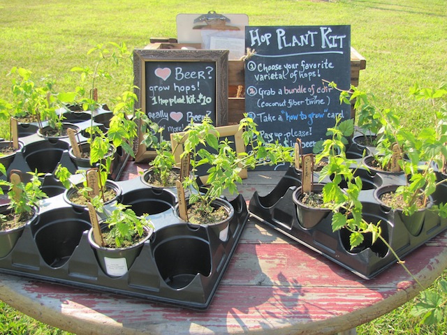 hops kits farm to pint
