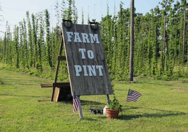 Hops kit from Farm to Pint