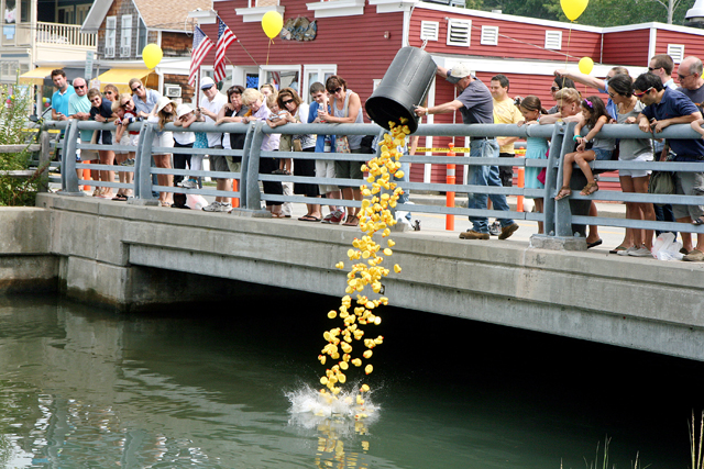 duck race shelter island
