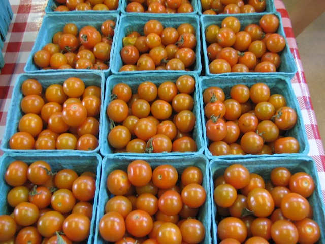 tomato fest garden of eve