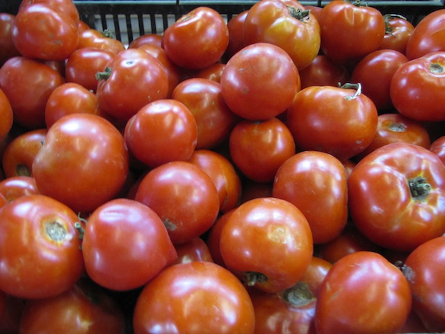 tomato fest garden of eve