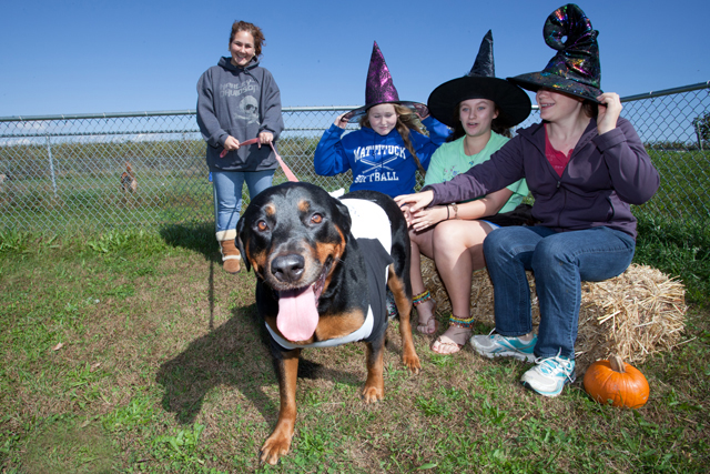 north fork dog parks