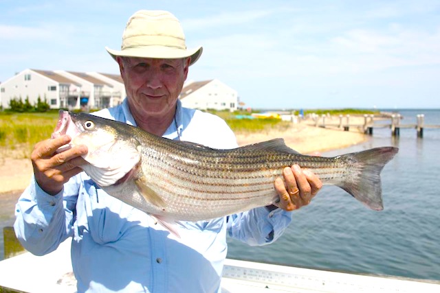 fishing report north fork long island