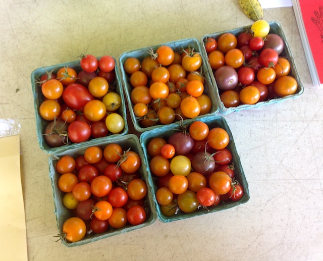 foodie tour north fork the farm