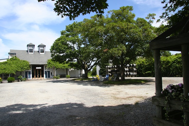 lenz winery