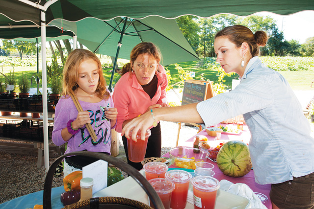 foodie tour north fork