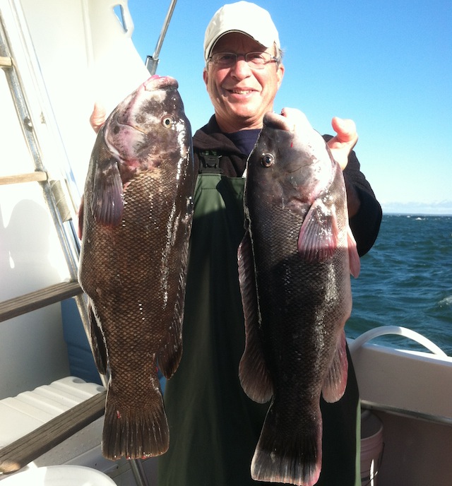 fishing report north fork long island blackfish