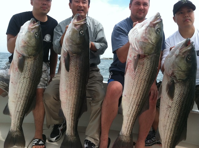 long island fishing report north fork