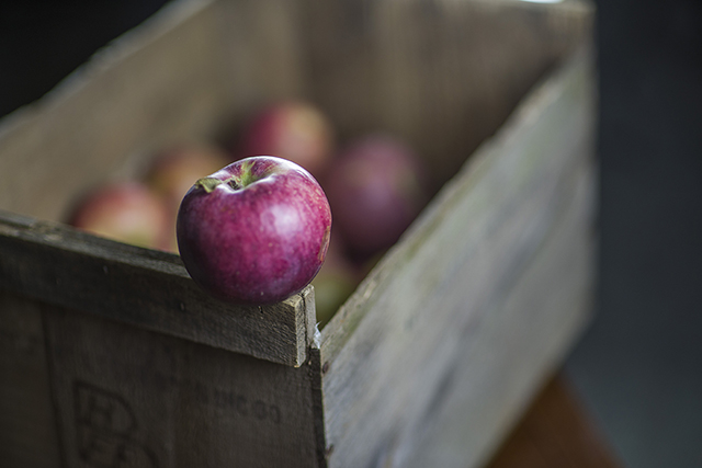 apple pie recipe north fork