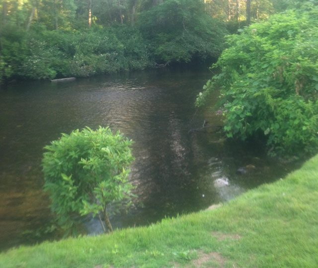 Maybe it's this incredible riverfront view that makes RoadHouse Brick Oven Pizza in Riverhead the most popular cheap eats spot on urbanspoon.