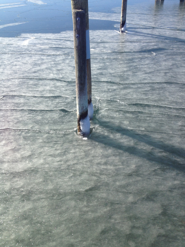 iced pilings