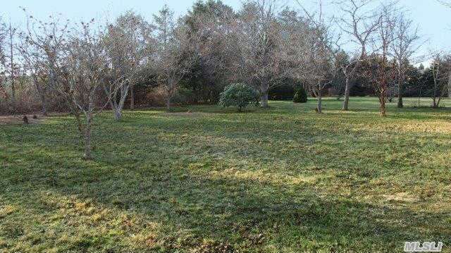 415 Silver Colt Rd