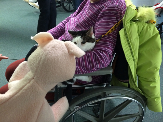 Frances and the cat