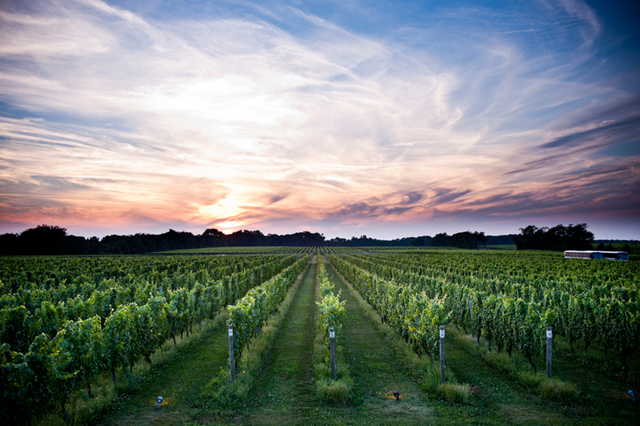 (Credit: W Studios New York)