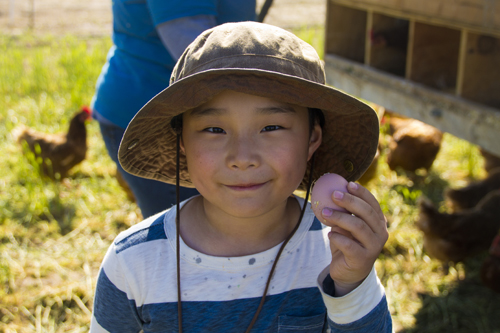 Seven-year-old Ian Bae of Forest Hills holds up an egg he found in the chicken's pen while on tour Saturday afternoon. Ian and his family said they go on trips like these every weekend to get out of the city. (Credit: Paul Squire)