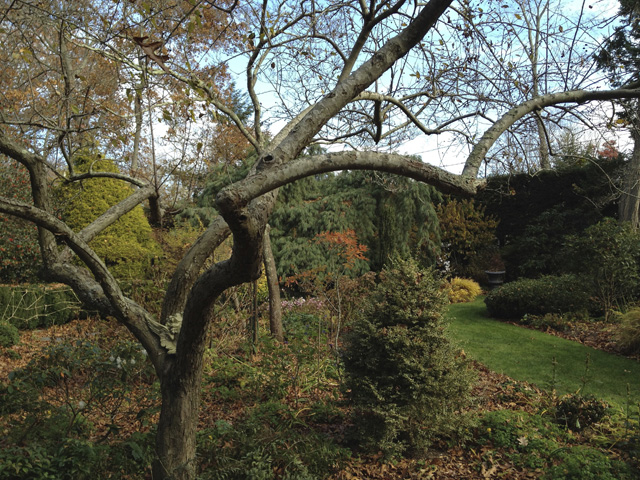 November