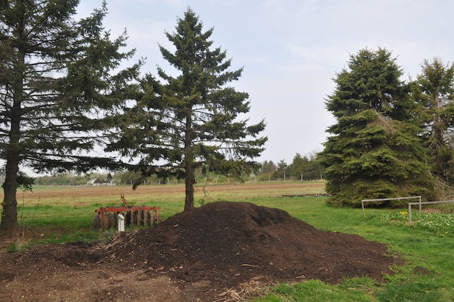 This compost pile at the Peconic Land Trust's Ag Center in Southold took about a year to make. (Cyndi Murray photo) 