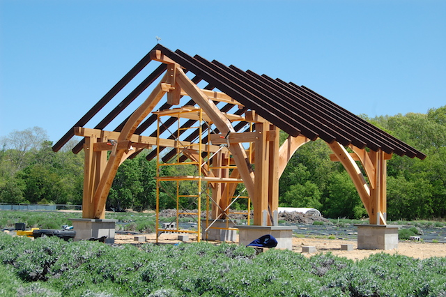 Lavender by the Bay unveiled this new pavilion made of white oak and black cherry wood at the East Marion farm on Tuesday. (Credit: Vera Chinese)