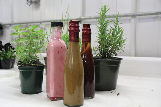 The recipes for blueberry and shallot-soy vinaigrettes and herb-infused vinegar are easy enough for even the most novice of chefs to prepare. (Credit: Carrie Miller)