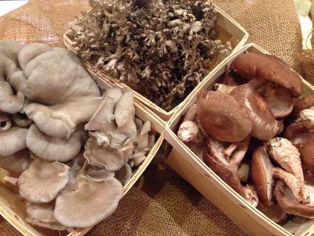 Shiitake, oyster and maitake mushrooms from Long Island Mushroom Company in Cutchogue. (Credit: Farm 2 Kitchen Long Island)