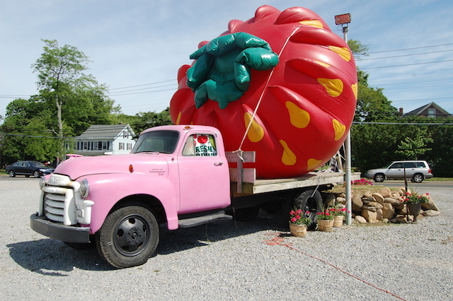 An inflatible strawberry outside Bayview Farm & Market in Aquebogue. (Credit: Vera Chinese)