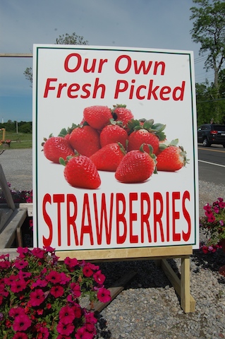 Strawberries are available at Bayview Farm & Market in Aquebogue. (Credit: Vera Chinese)