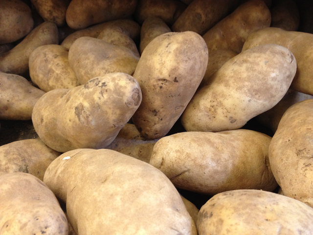 Sang Lee Farms in Peconic wants to donate 2,000 pounds of potatoes this holiday season. (Credit: Vera Chinese file photo)