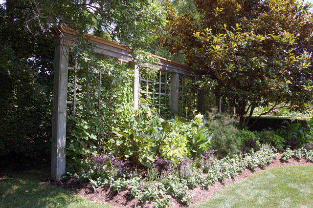  Dennis Schrader and Bill Smith's garden