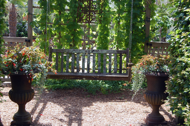  Dennis Schrader and Bill Smith's garden