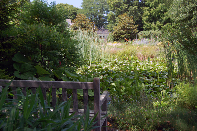  Dennis Schrader and Bill Smith's garden