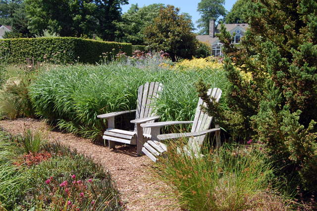  Dennis Schrader and Bill Smith's garden