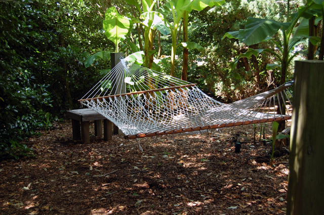  Dennis Schrader and Bill Smith's garden