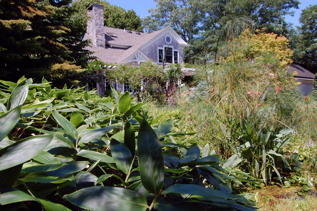  Dennis Schrader and Bill Smith's garden