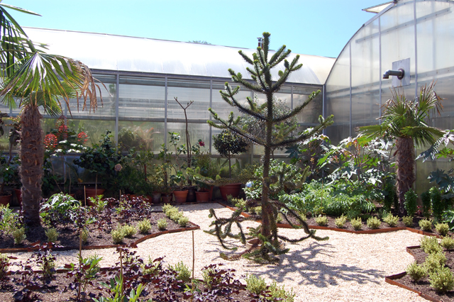  Dennis Schrader and Bill Smith's garden