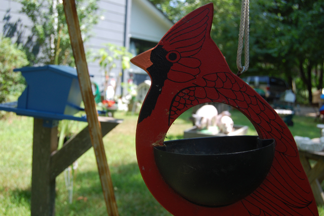 Credit: Vera Chinese