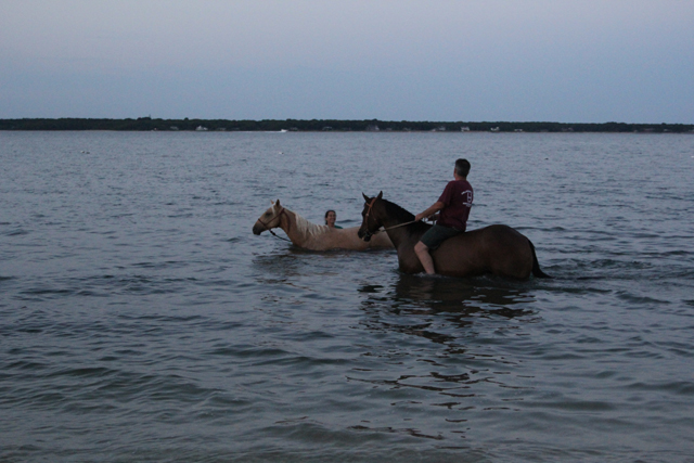 Pony Swim_11