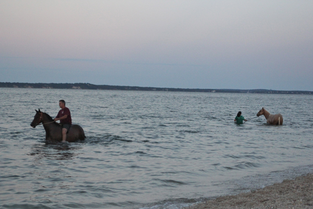 Pony Swim_6