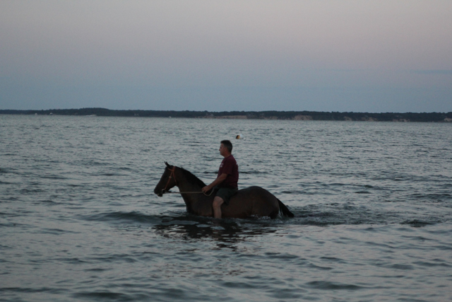 Pony Swim_9