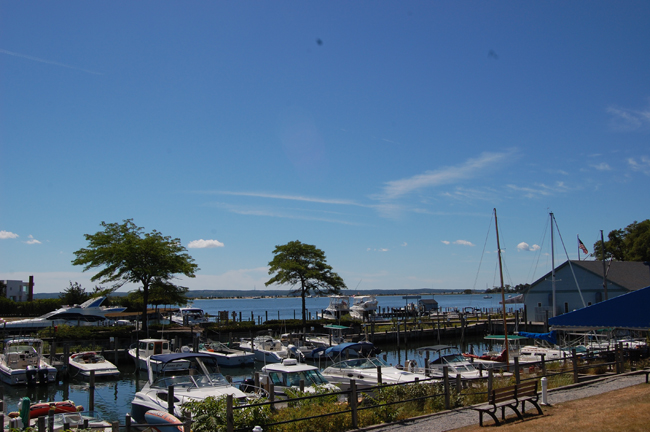 The view from the terrace.