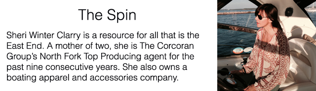 The SPin blog box