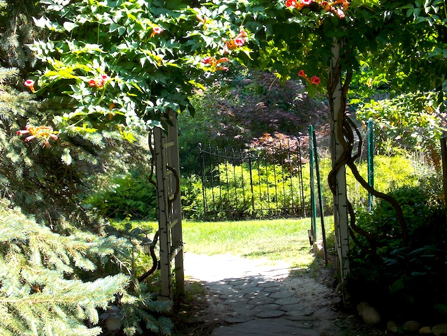 The gardens at Arbor View House.