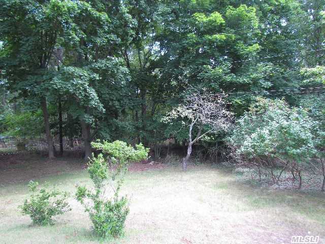 12 Birch Ct