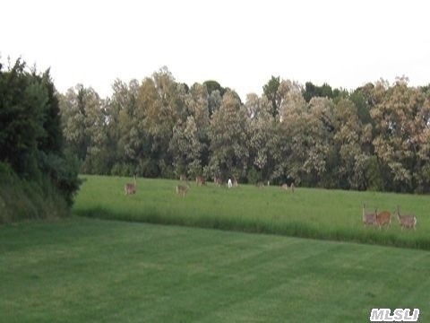 57856 Main (private) Rd