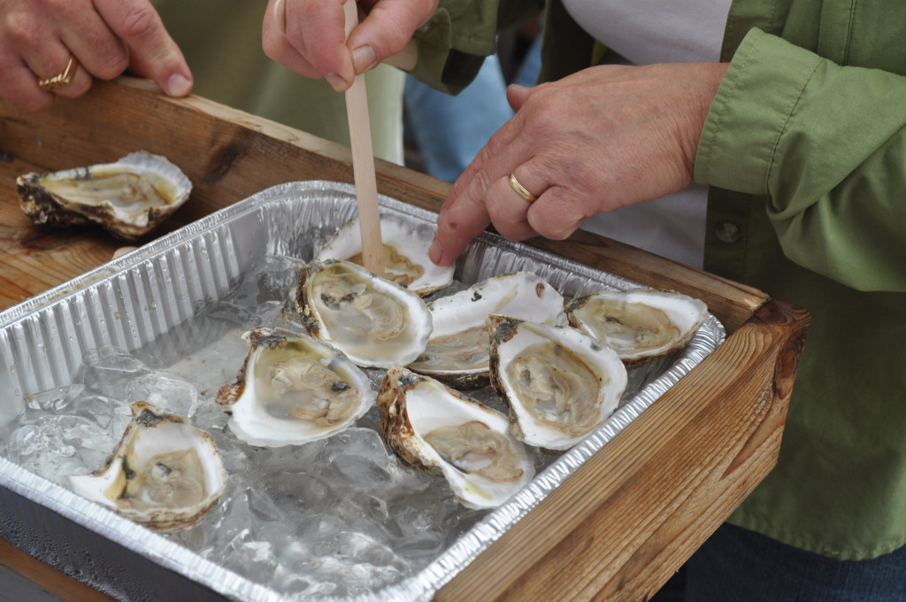 The judges examine the oysters