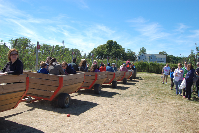 Visitors enjoy a had ride.