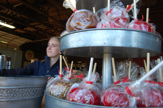 Candy apples.