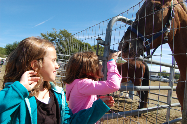 Twins Jenna (left) and Katelyn Morello, 6, of Miller Place get up close to a horse at the Hallockville Museum Farm Fall Festival and Craft Fair.
